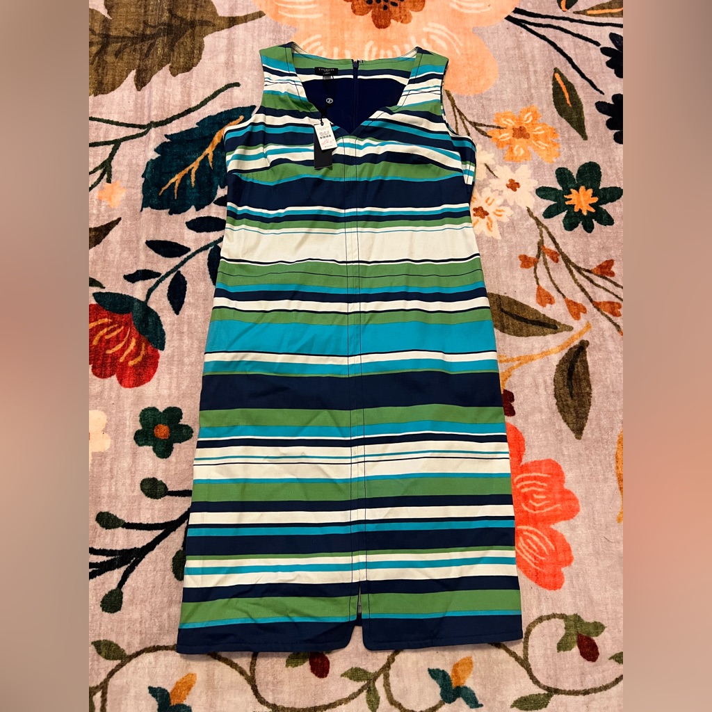 New W/ Tag Talbots Multicolor Striped Dress